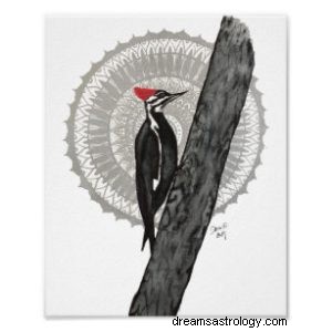 Pájaro carpintero:espíritu animal, tótem, simbolismo y significado 