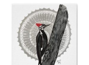 Pájaro carpintero:espíritu animal, tótem, simbolismo y significado 