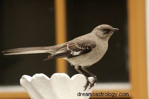 Mockingbird:Binatang Roh, Totem, Simbolisme dan Arti 