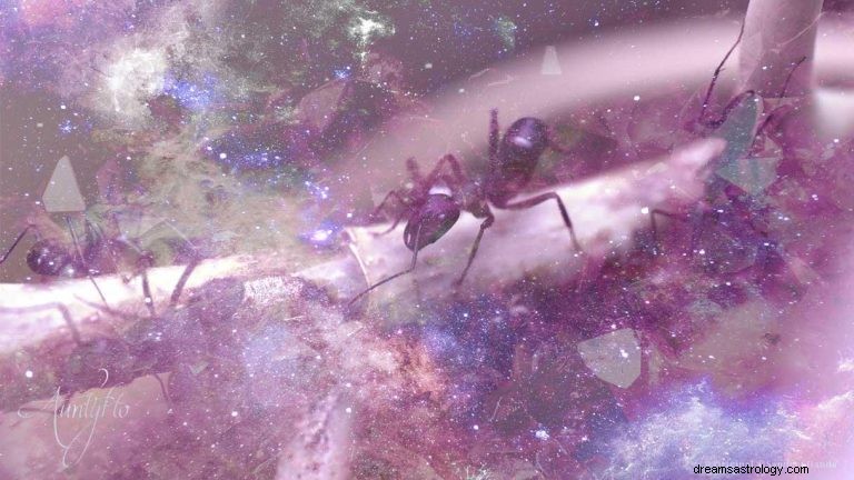 Mrówki:duchowe zwierzę, totem, symbolika i znaczenie 