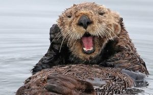 Otter:Krafttier, Totem, Symbolik und Bedeutung 