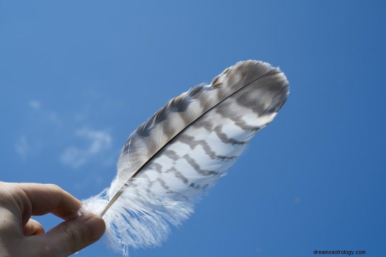 Feather:Duch, Totem, Symbolismus a Význam Kompletní průvodce 
