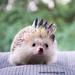 Hedgehog:Spirit Animal, Totem, Symbolism and Meaning 