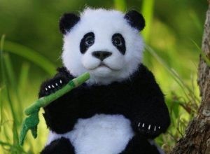 Ours panda :animal spirituel, totem, symbolisme et signification 