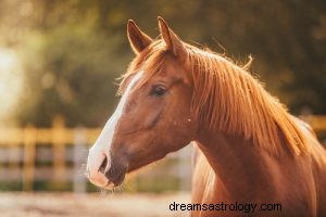 Häst:Andedjur, totem, symbolik och mening 