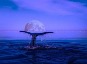 Velryba:Duchovní zvíře, totem, symbolika a význam 
