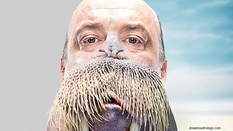 Walrus:geestdier, totem, symboliek en betekenis 