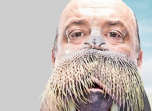 Morsa:espíritu animal, tótem, simbolismo y significado 