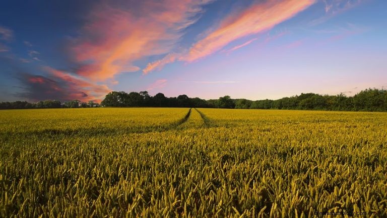 Que signifie rêver d une ferme ? 