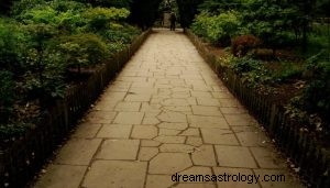 ¿Qué significa soñar con un camino? 
