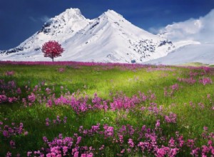 Co to znaczy marzyć o Abbey? 