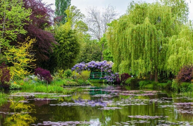 Wat betekent dromen over een tuin? 