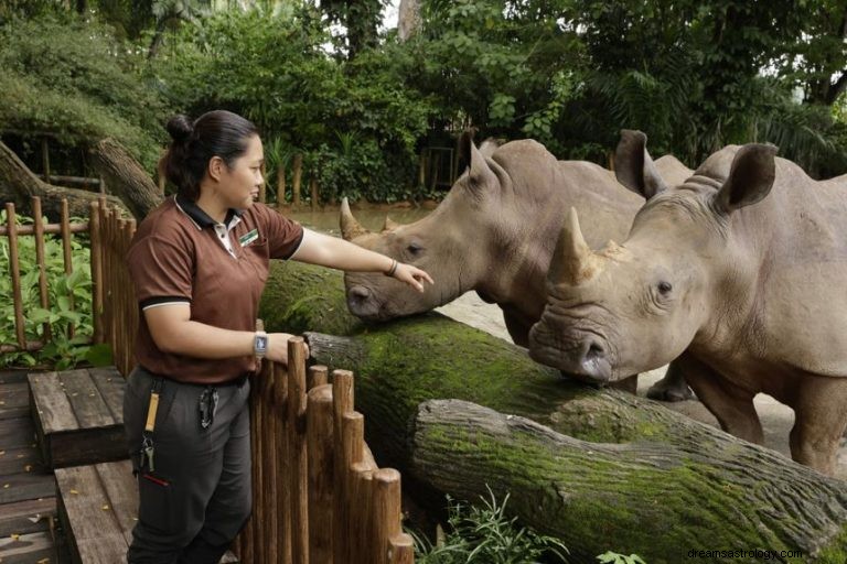 Hvad vil det sige at drømme om Zoo? 