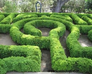 Was bedeutet es, über ein Labyrinth zu träumen? 