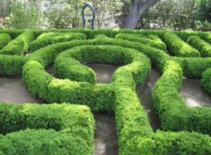 Que signifie rêver d un labyrinthe ? 