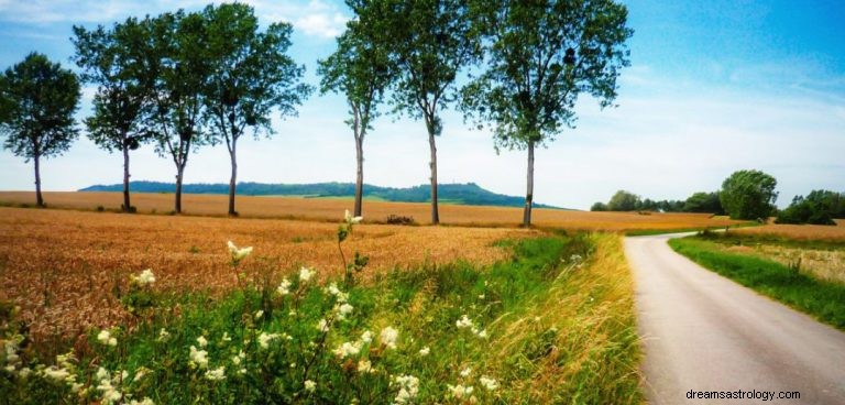 O que significa sonhar com campo? 