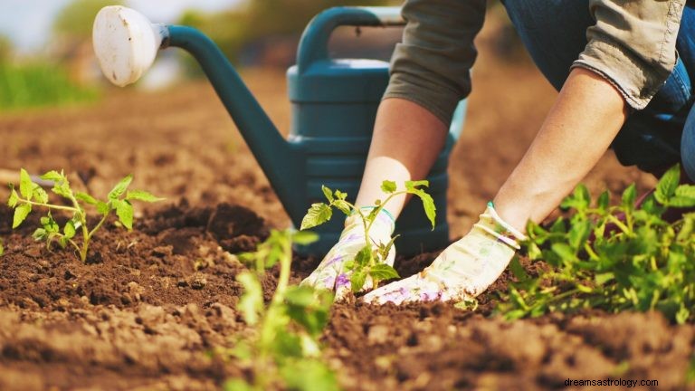 Hva betyr det å drømme om hagearbeid? 