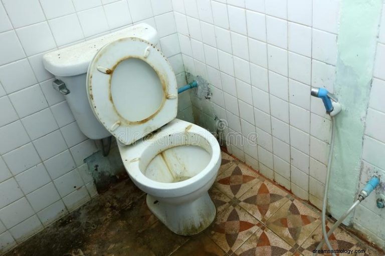 ¿Qué significa soñar con baños sucios? 