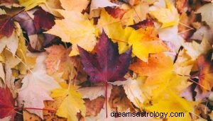 Co to znamená snít o podzimu? 