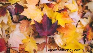 ¿Qué significa soñar con otoño? 