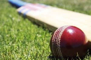 Cosa significa sognare il cricket? 