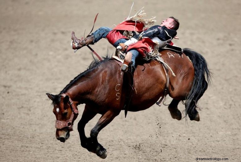 Τι σημαίνει να ονειρεύεσαι το Stampede; 