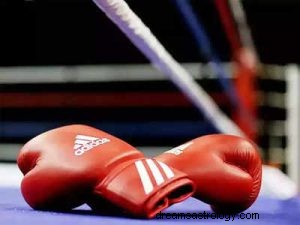 O que significa sonhar com boxe? 