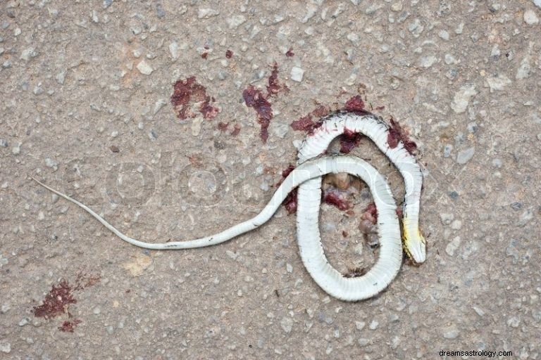 Co to znaczy marzyć o Dead Snake? 