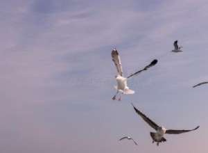 ¿Qué significa soñar con pájaros atacando? 