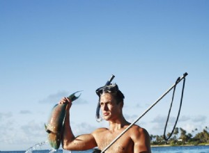 ¿Qué significa soñar con pescar? 