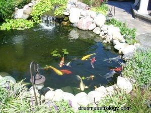 Que signifie rêver d un étang à poissons ? 