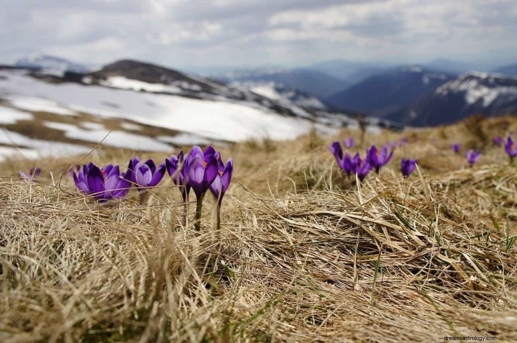 Métaphores et symboles dans les rêves 