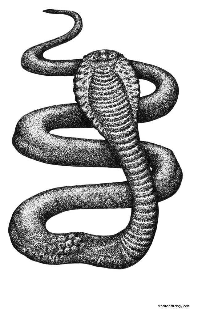 Das Geheimnis der mystischen weißen Schlangen entschlüsseln 