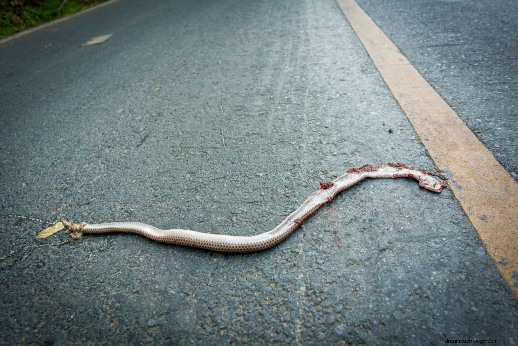 Tuer un serpent dans un rêve signifie mariage - réalité ou fiction ? 