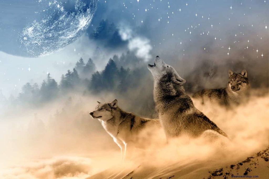 オオカミはあなたの夢の中で何を意味しますか？ 