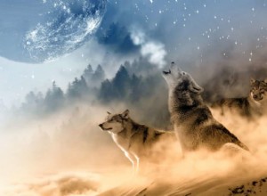 ¿Qué significa un lobo en tus sueños? 