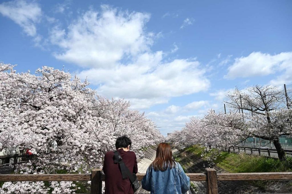 あなたがあなたのときめきについて夢を見ているとき、それはどういう意味ですか？ 