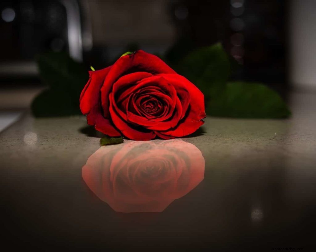 Róże Sen Znaczenie 