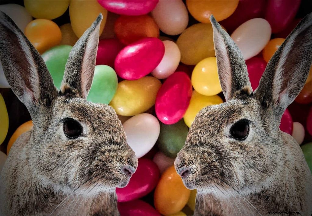 Kaninchen- oder Hasen-Traumbedeutung 