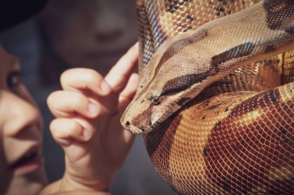 Sonhar com cobras atacando você ou alguém que você conhece 