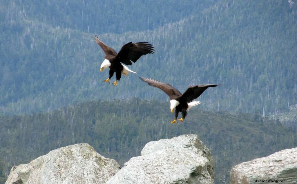 Que signifient les aigles dans les rêves ? 