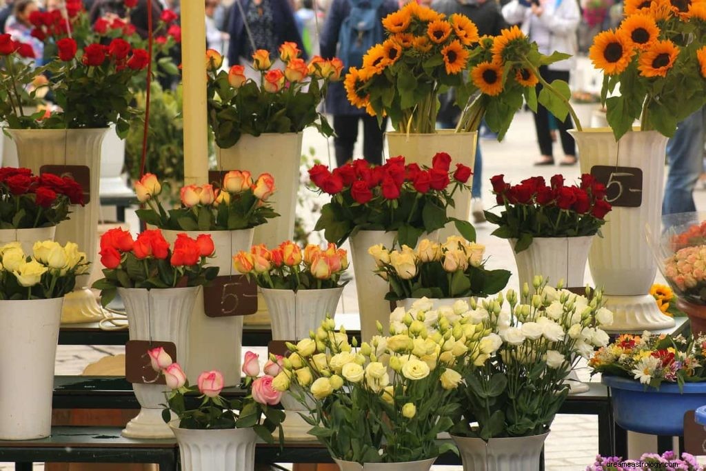 O que significa sonhar com flores? 