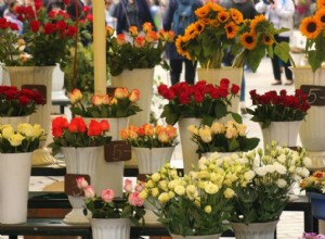 Hva vil det si å drømme om blomster? 
