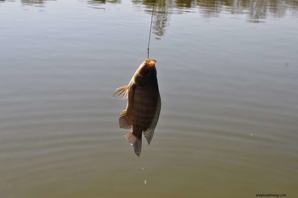 Significado de Soñar con Pesca 