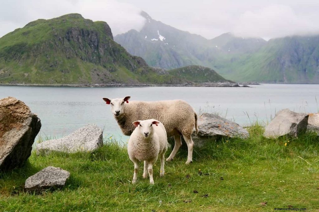 Simboli dei sogni degli animali – A – Z 