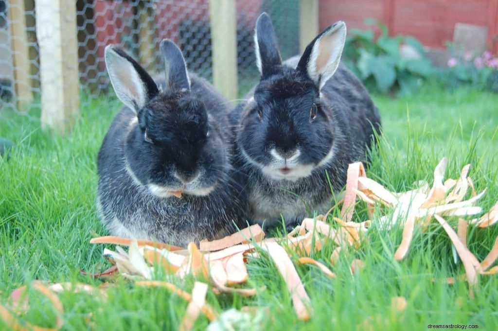 Bermimpi Memiliki Anak Kembar 