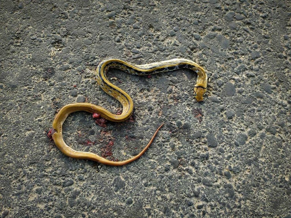 Serpiente muerta en sueños 