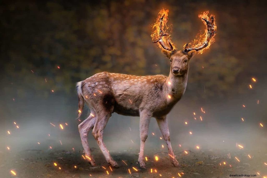 Deer Dream Bedeutung 