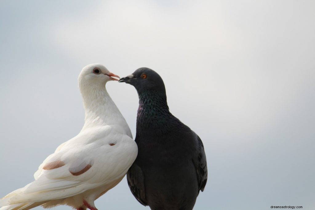 Que signifient les oiseaux dans votre rêve ? 