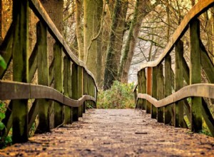 夢の用語集：Bで始まる夢のシンボル—パート5 